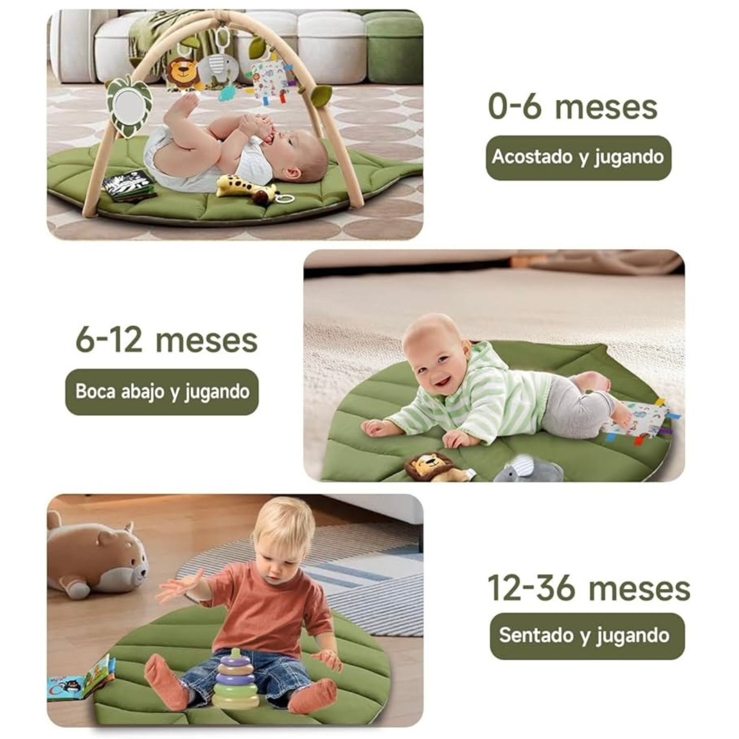 Jungle gym - Image 2